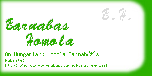 barnabas homola business card